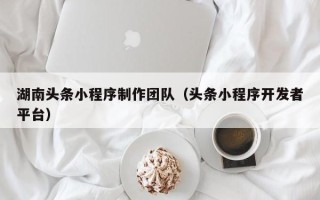 仁寿湖南头条小程序制作团队（头条小程序开发者平台）