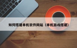 仁寿如何搭建单机软件网站（单机游戏搭建）