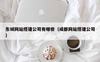 仁寿东城网站搭建公司有哪些（成都网站搭建公司）